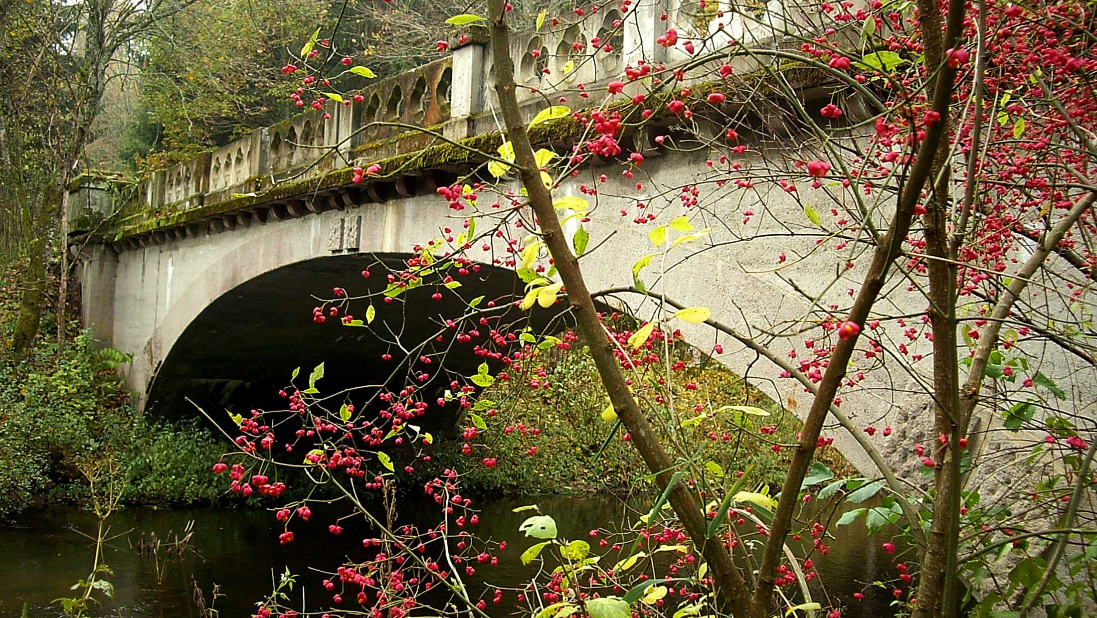 мост в краснолесье калининградской обл