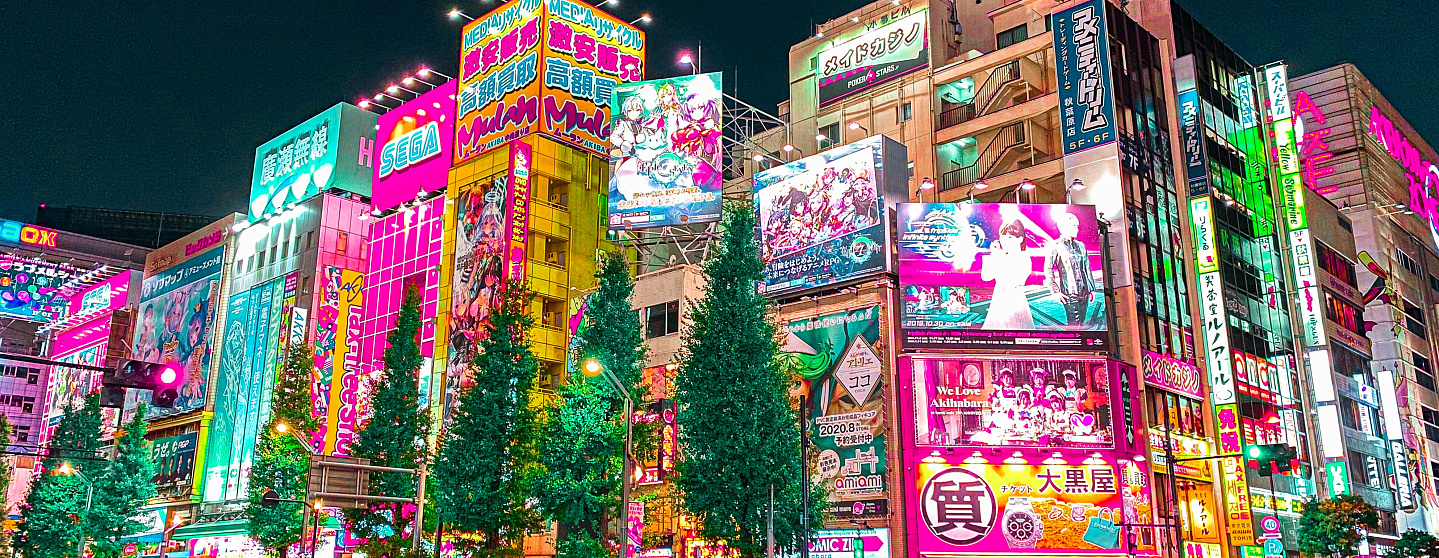 Япония. Новый год в Токио 2023-2024