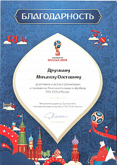 Благодарность Друтману М.О. FIFA WORLD CUP RUSSIA, 2018